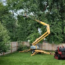 Best Fruit Tree Pruning  in Leisure World, MD